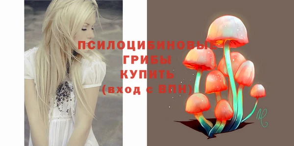 кокс Алексин