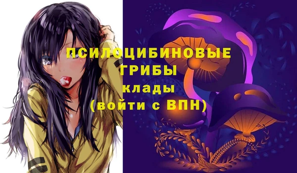 амф Алзамай
