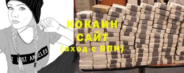 кокс Алексин