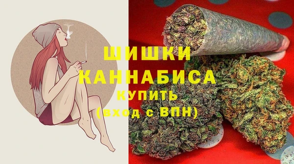 амф Алзамай