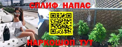 сатива Кулебаки