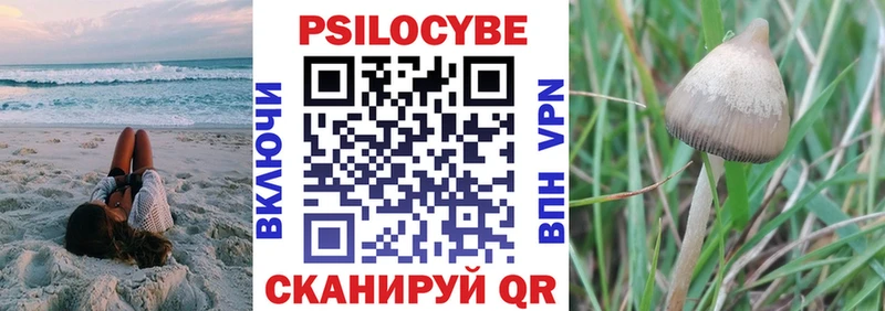 гидра ссылки  Калач-на-Дону  Псилоцибиновые грибы Cubensis 